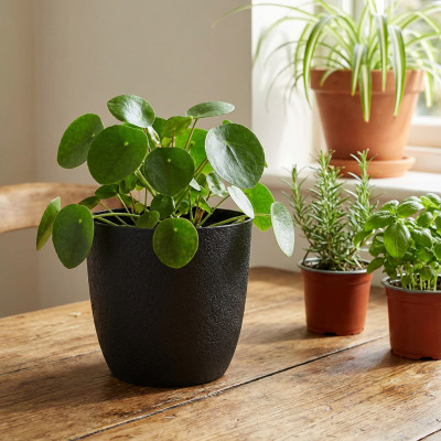 Osłonka na doniczkę Turo Eco Recycled 15 czarna