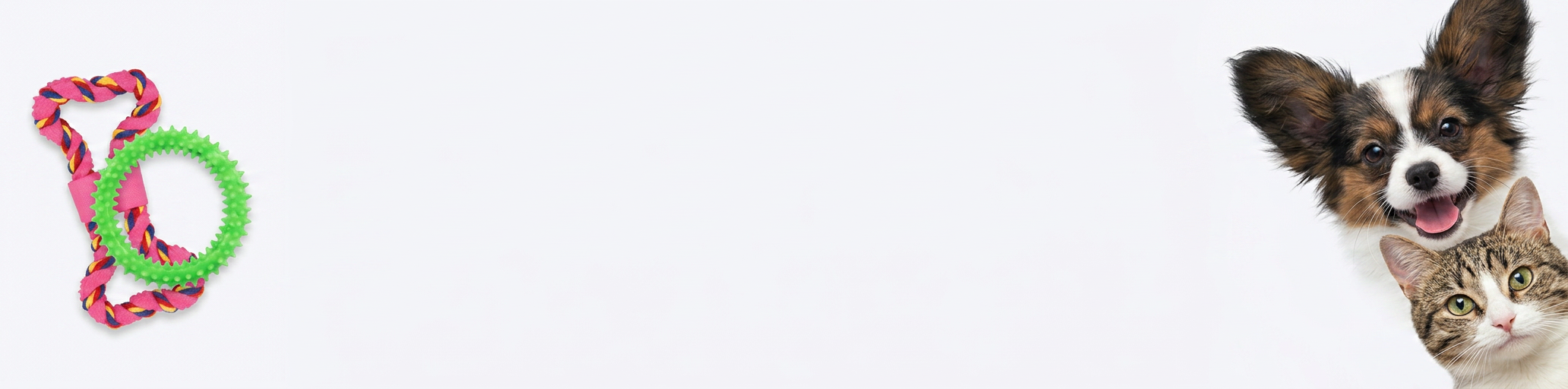 Zestaw akcesoriów dla pupila